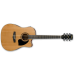IBANEZ PF17ECE-LG elektro-akustična kitara